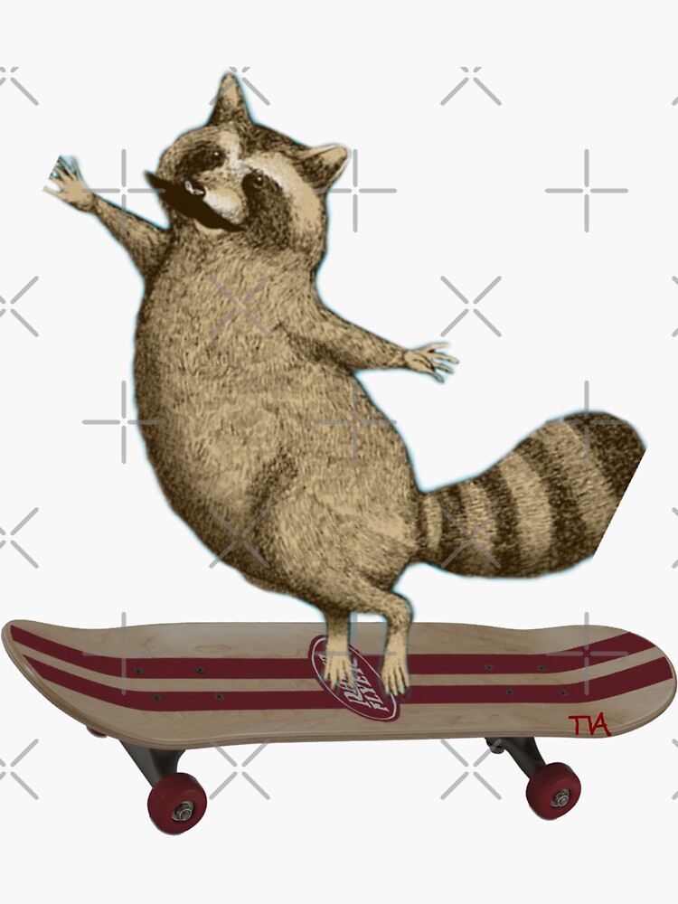 Raccoon On Skateboard