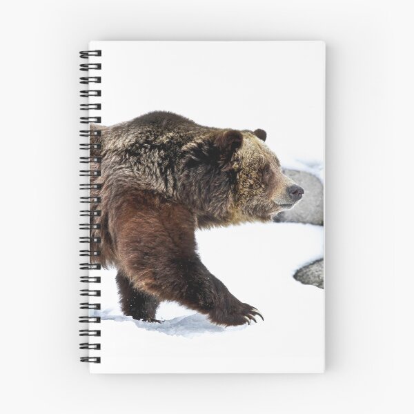 Item preview, Winter Bear Walk designed and sold by Athena McKinzie.