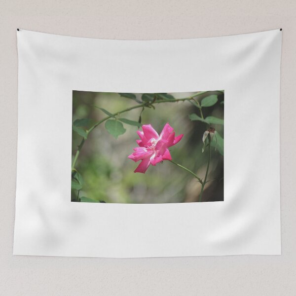 Item preview, Pink Rose Flower on a Vine in Florida designed and sold by abacoian.
