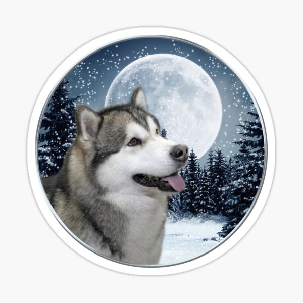 Alaskan Malamute Sticker