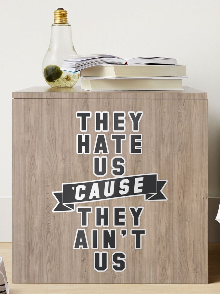  They Hate Us Cause They Ain't Us - 5.0x4.2 - vinyl decal  sticker : Automotive