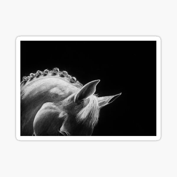 Cassia - Hanoverian Dressage Stallion Sticker