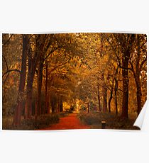 Autumn Gold Poster