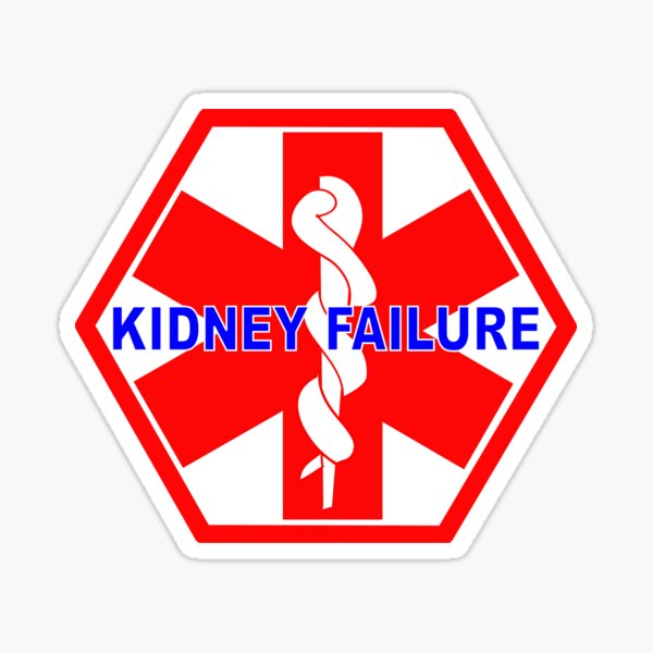 KIDNEY FAILURE MEDICAL ALERT IDENTIFICATION ID TAG Sticker for