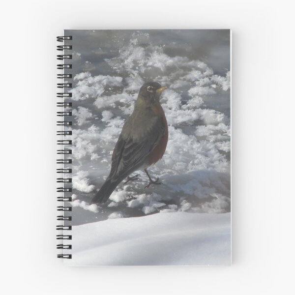 Item preview, Robin on Ice designed and sold by TheVioletWitch.