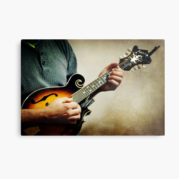 Mandolin Metal Print