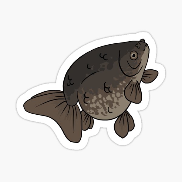 Vista previa del artículo con la obra «Goldfish de lujo - Ranchu II», diseñado y vendido por thefianna.