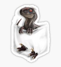 Pocket Protector - Male Raptor Sticker