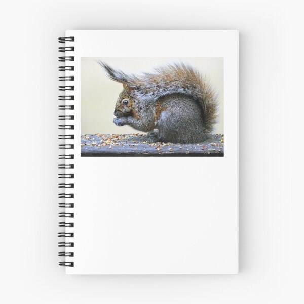 Item preview, Squirrel's hat designed and sold by Laurie Minor.