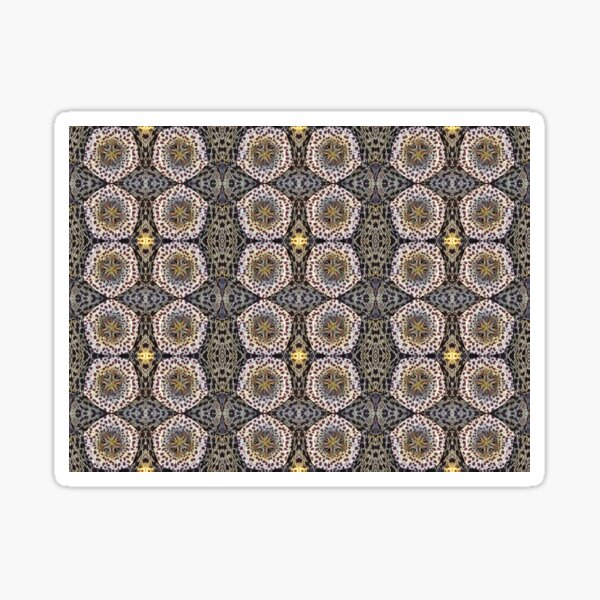 Orbea variegata - motif Sticker