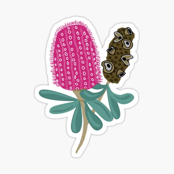 Whimsical Banksia Flower with Pod Sticker