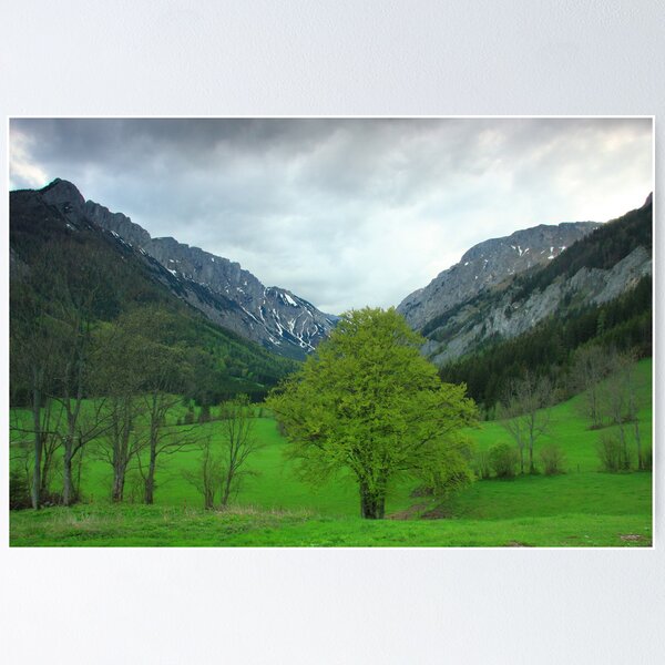 Artikelvorschau, Spring awakening entworfen und verkauft von christopher363.