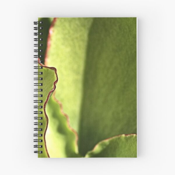 Item preview, Red Boarders designed and sold by Joy Watson - Natural Light Photography .