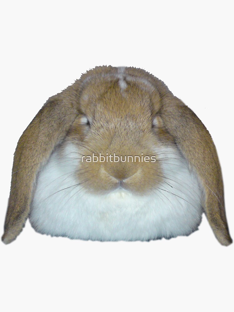 "Ollie Bunnies" Sticker by rabbitbunnies Redbubble