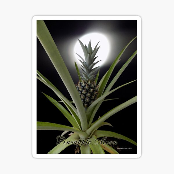 Pineapple Moon Sticker