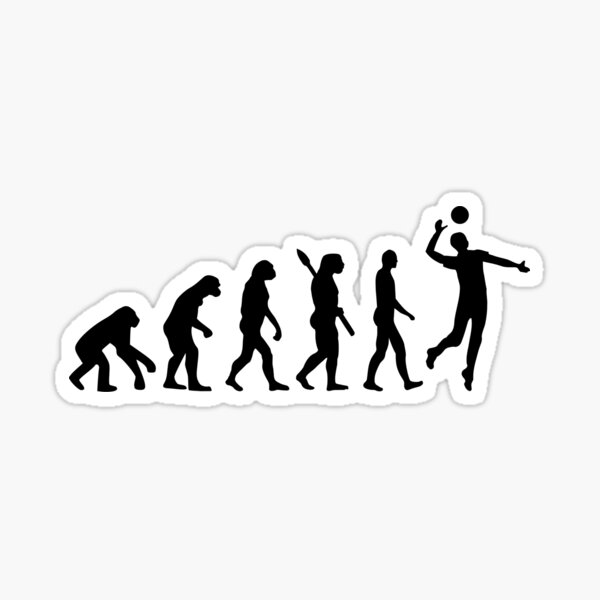 Item preview, Evolution Volleyball player designed and sold by Designzz.