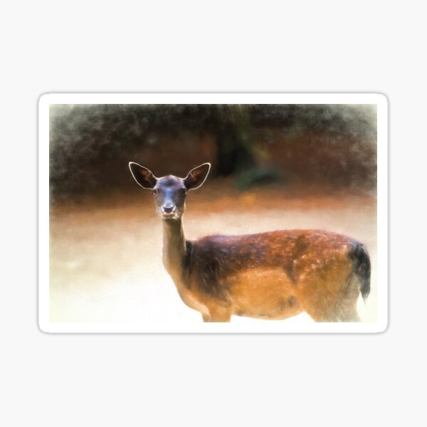 Deer Sticker