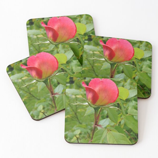 Item preview, Tea Rose designed and sold by pinkal.
