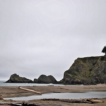 Artwork thumbnail, Sandy Beaches by Nancy Chambers