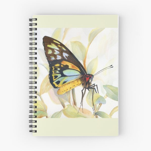 Item preview, Cairns Birdwing Butterfly Watercolour Painting by Heather Holland designed and sold by Heatherian.