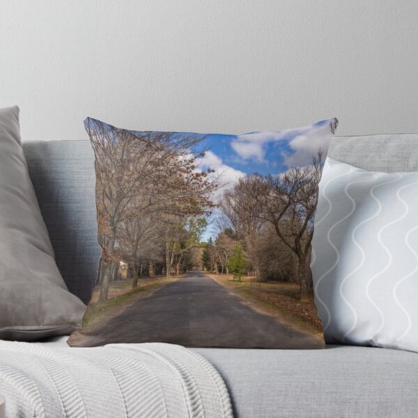 Item preview, Hill End NSW Australia designed and sold by Allport Photography.