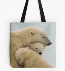 Bolsa de tela Oso polar
