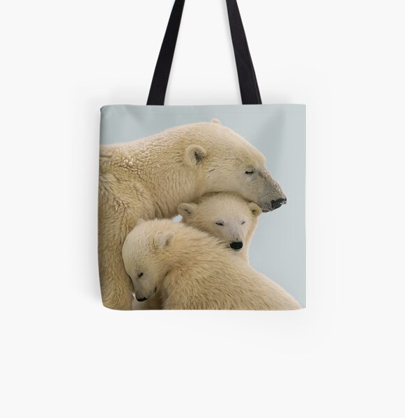 Triangle Panda Bear Royal Lion Beach Tote 2-Sided