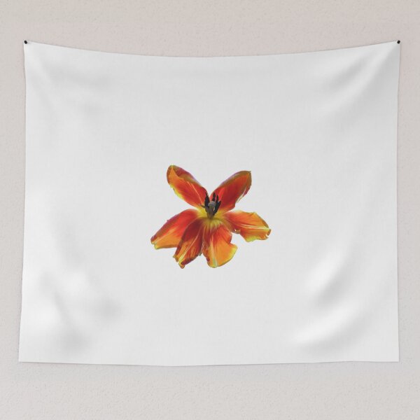 Item preview, Orange Flower Floral Photography Print designed and sold by Alpha-design.