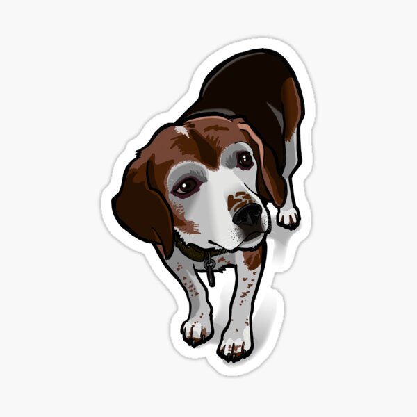Clancy (beagle) Sticker