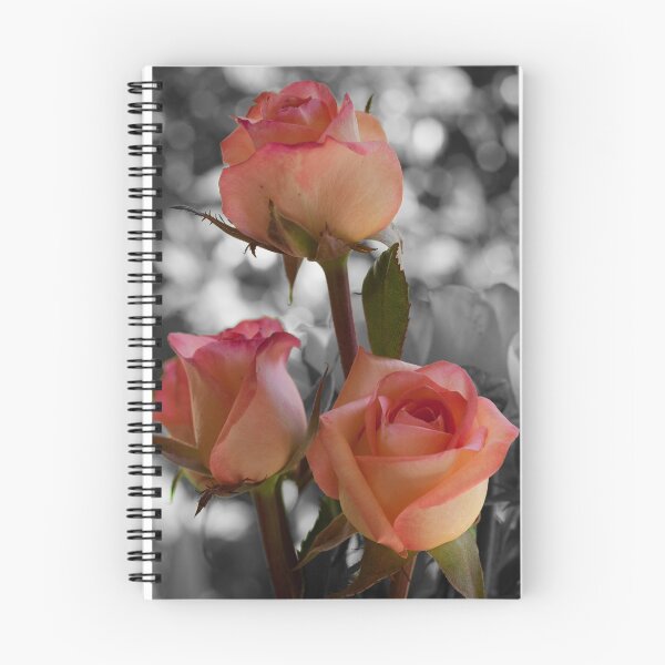 Item preview, Apricot Roses with Black and White bacground designed and sold by Connie Pinson.