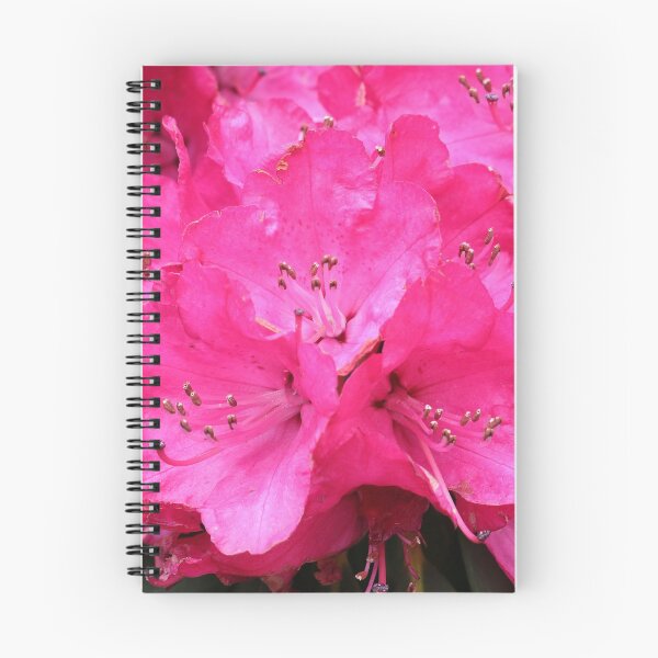 Item preview, Pink Rhododendron Flowers designed and sold by BryanDevon.