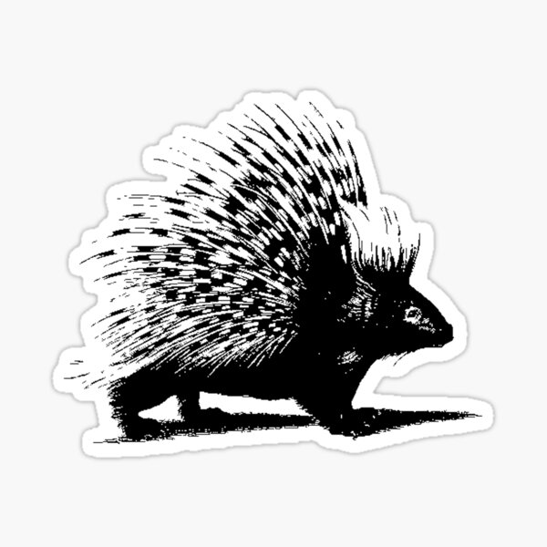 Porcupine art black and white t-shirt - TenStickers