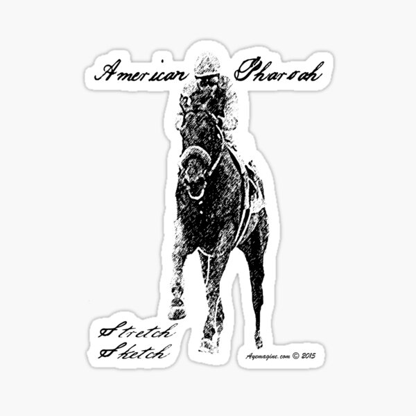 American Pharoah Stretch Sketch Sticker