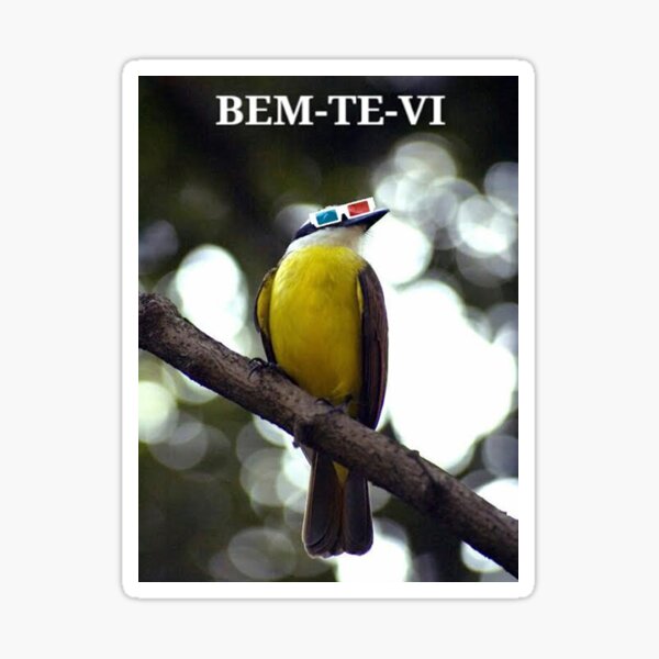 Bem-te-vi Sticker