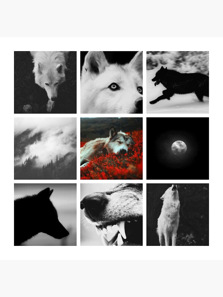 Black And White Wolf Moodboard Sticker By Ssnowstarr Redbubble 2433