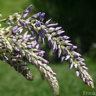 «AL BORDE» de fsmitchellphoto