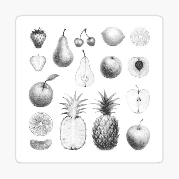 fresh fruits in black and white Sticker