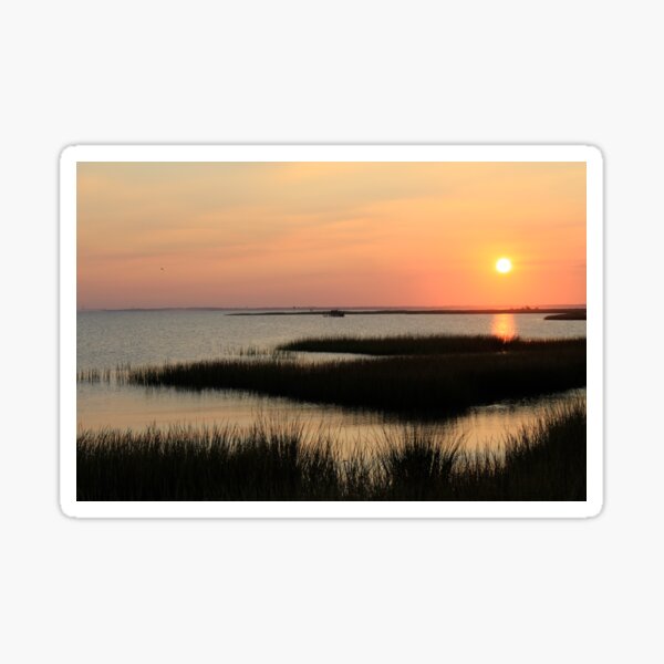 Item preview, Sunset, Tom's Cove, Assateague designed and sold by WhiteCatPhoto.