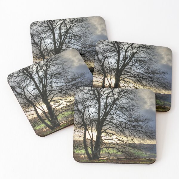 Item preview, Winter sun designed and sold by tomg.