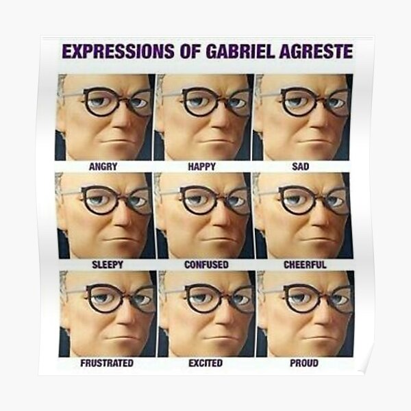 Expressions Of Gabriel Agreste Poster By Mommylife Redbubble