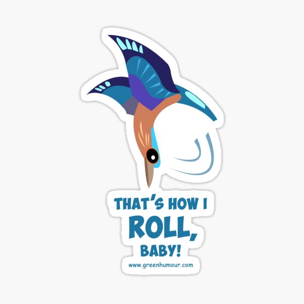 Indian Roller Sticker