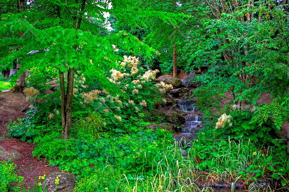 "The Beatrix Potter Garden in Birnam" by Tom Gomez Redbubble