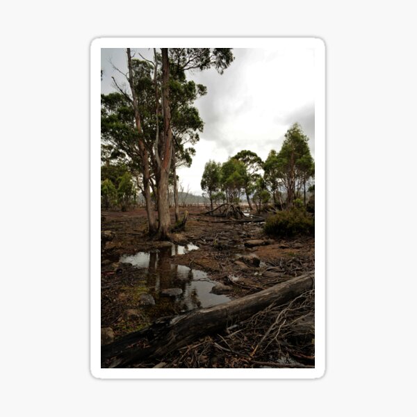 Item preview, Lake King William Mudflats  designed and sold by Anthony Davey.