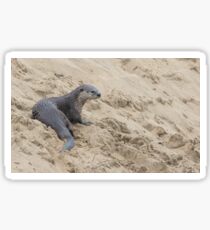 The otter's spot Sticker