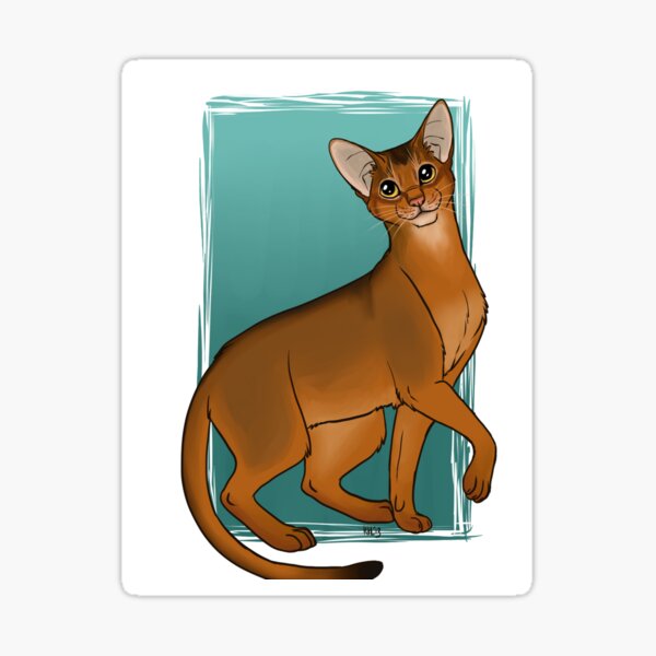 Abyssinian Sticker