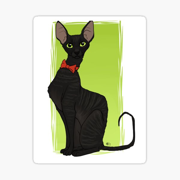 Cornish Rex Sticker