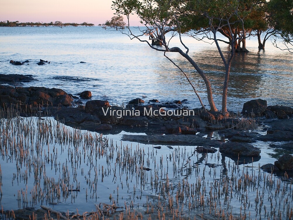 "First Light , Clairview North Queensland Australia" by Virginia
