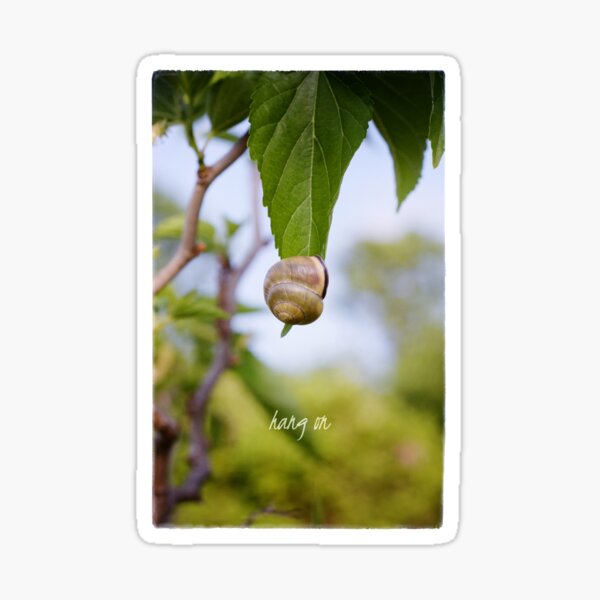 Hang On Sticker