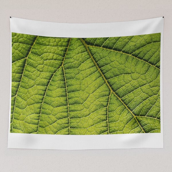 Item preview, Macro Green leaf designed and sold by bonidog.