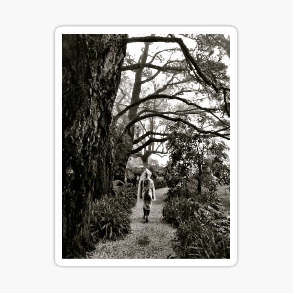 Mystery lady in the mist Sticker